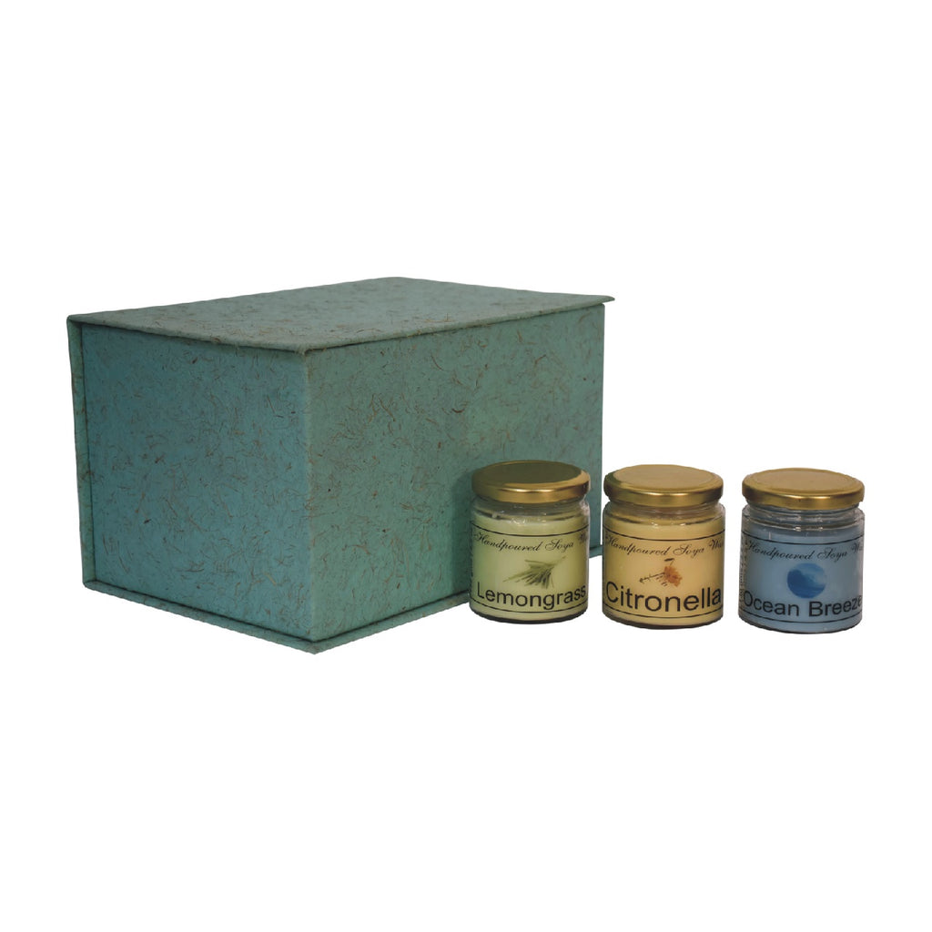 This set of 3 scented candles, includes Lemongrass, Citronella &amp; Summer Tides