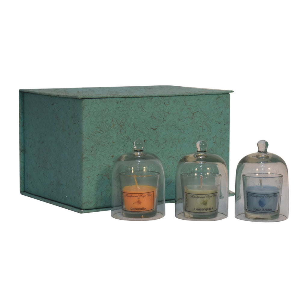 candles, includes Citronella, Summer Tides and Lemongrass